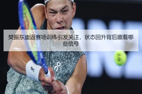 樊振东重返赛场训练引发关注，状态回升背后藏着哪些信号